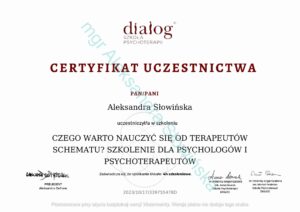 13 terapeuci schematów