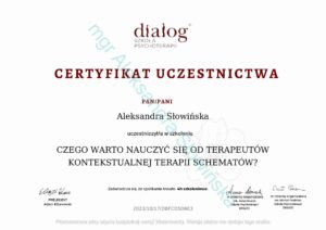 24 kontekstualna psychoterapia